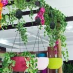 馃尦Plant Pulley Set For Garden Baskets Pots, Birds Feeder - Image 3
