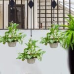 馃尦Plant Pulley Set For Garden Baskets Pots, Birds Feeder - Image 8