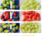 Easy Peeling Automatic Fruit Peeler The One-Touch Fruit & Vegetable Peeler. Effortless. Fast. - Image 10